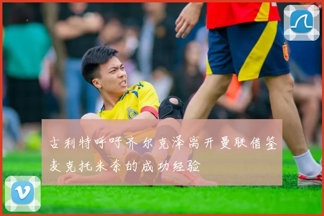 古利特呼吁齐尔克泽离开曼联借鉴麦克托米奈的成功经验